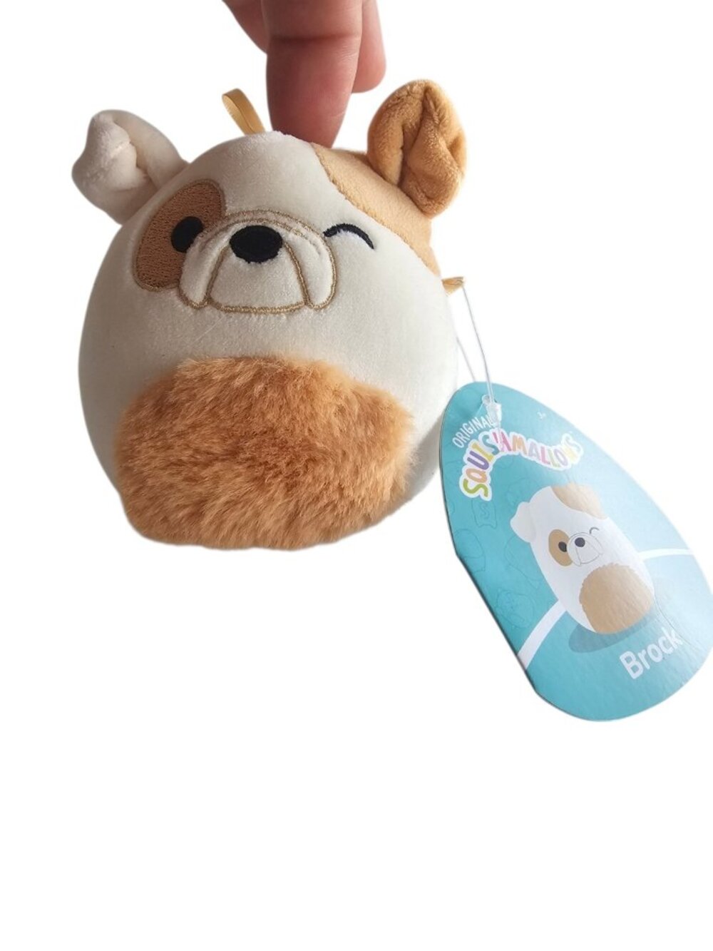 Brock Squishmallows Plush 5 Inch Puppy Dog With Tag